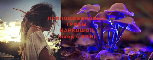 метамфетамин Ельня
