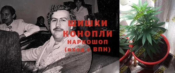 метамфетамин Ельня
