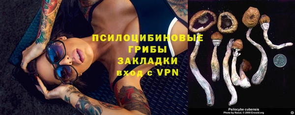 PSILOCYBIN Елизово