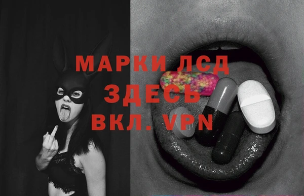 PSILOCYBIN Елизово