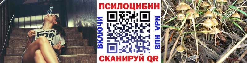Купить закладки  Советский  Псилоцибиновые грибы мухоморы 